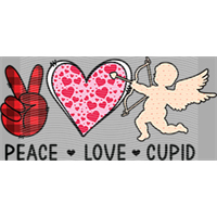 Valentine's Day-QRJ  6858